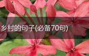 赞叹乡村的句子
