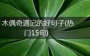 木偶奇遇记的好句子摘抄