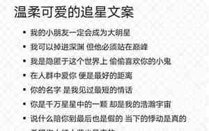 追星的句子20字