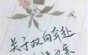 关于爱情浪漫句子大全