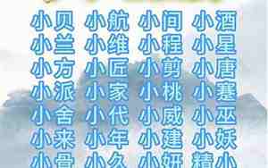 建材冷门公司名字大全