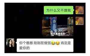 女朋友不理你是什么感