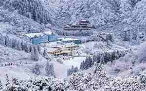 金佛山景区