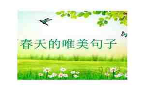 适合春天的诗句句子