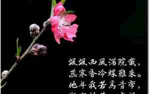 赞美桃的句子