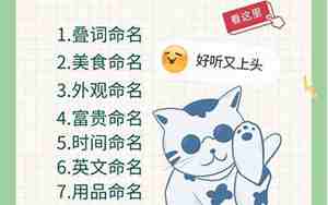 宠物粤语名字推荐男宝宝