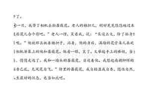 蔷薇几度花阅读答案赏析句子