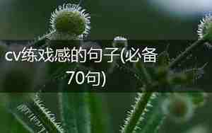 练戏感的句子
