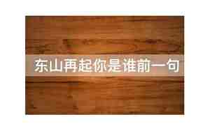 东山再起你是谁前一句