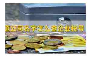只知道公司名字怎么查