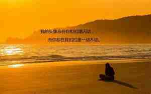 对一个公司的失望的句子
