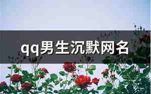 沉默网名