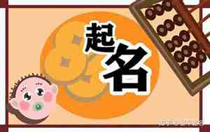 姓褚虎宝宝男孩名字