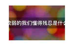 感情都要懂得什么歌