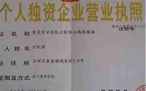 个人公司独资企业起名字
