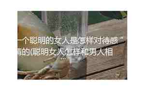 聪明女人怎么对待感情