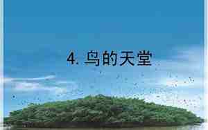 鸟的天堂教案