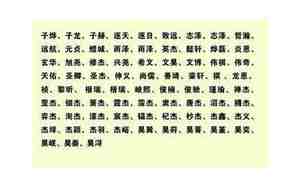 魏姓龙年男好名字