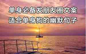 不再单身的说说句子
