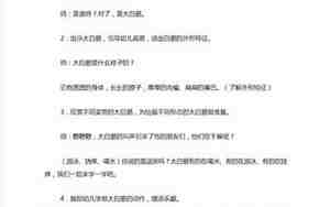 大白鹅美术教案