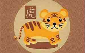 20224月虎宝宝名字