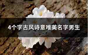 四字诗意好名字男孩子