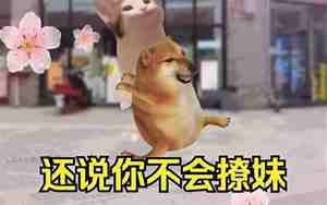 男友让我重新追她