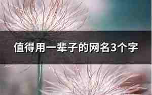 一辈子的网名