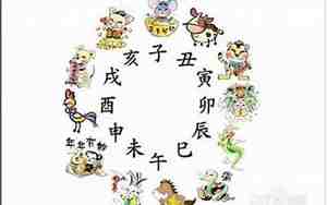今晚一只生肖是什么生肖