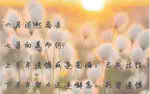 七月美好句子