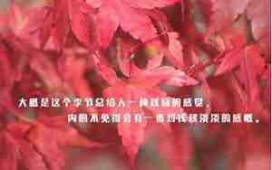 秋天表白句子