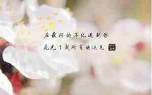 陪伴最优美的句子简短