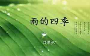 形容四季的雨句子