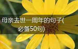 去世一年周年句子