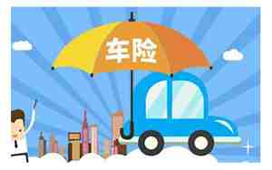 强制险多少钱