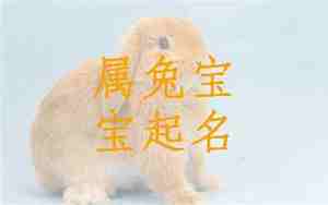 兔宝宝名字带枳