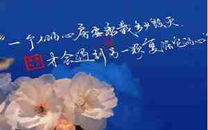 难忘乡愁的句子