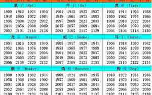 1989年属于什么命