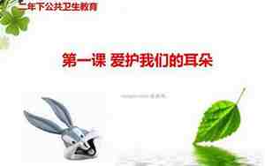 我们的耳朵教案