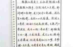 练字句子