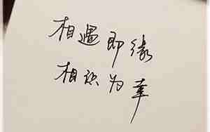有缘相识的句子