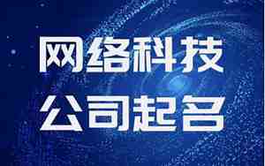 网络开发公司起名大全