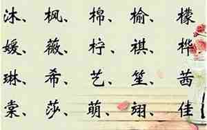宝宝名字要带木字旁的