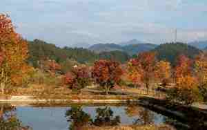 九资河风景区