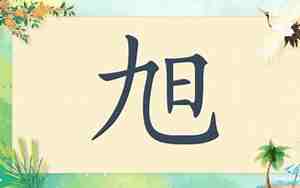 宝宝的名字带旭
