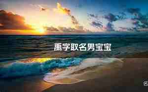 禹氏男宝宝名字