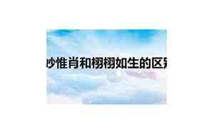 惟妙惟肖和栩栩如生