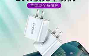 苹果十二充电器