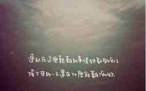 描写生活丰富的句子