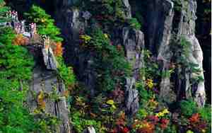 黄山风景区电话